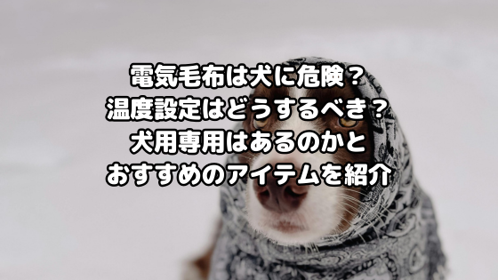 electric-blanket-for-dog